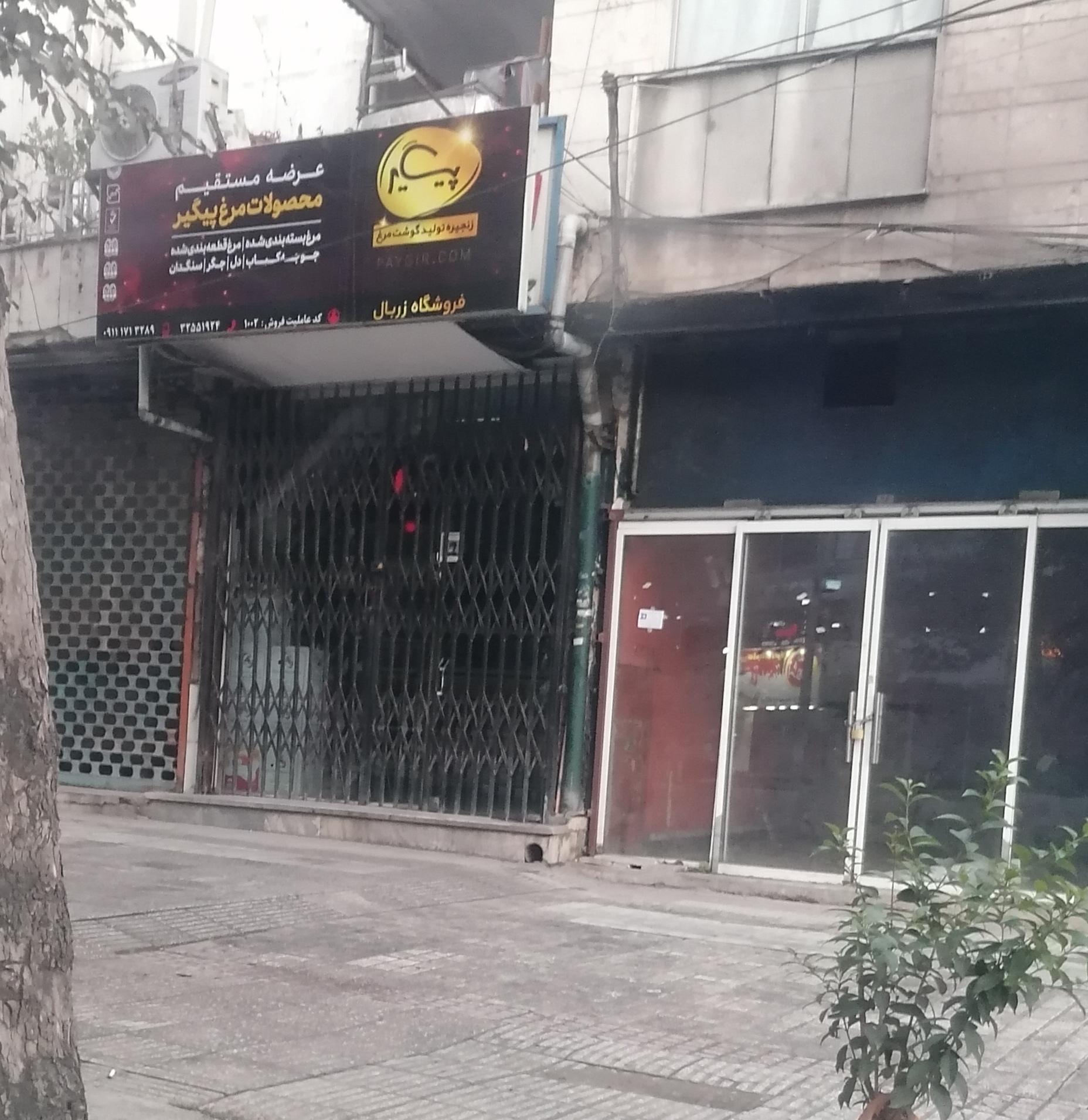 دکتر پروتئین