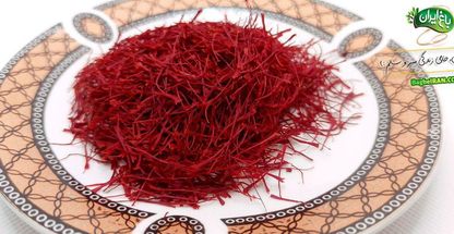 فروشگاه اینترنتی باغ ایران