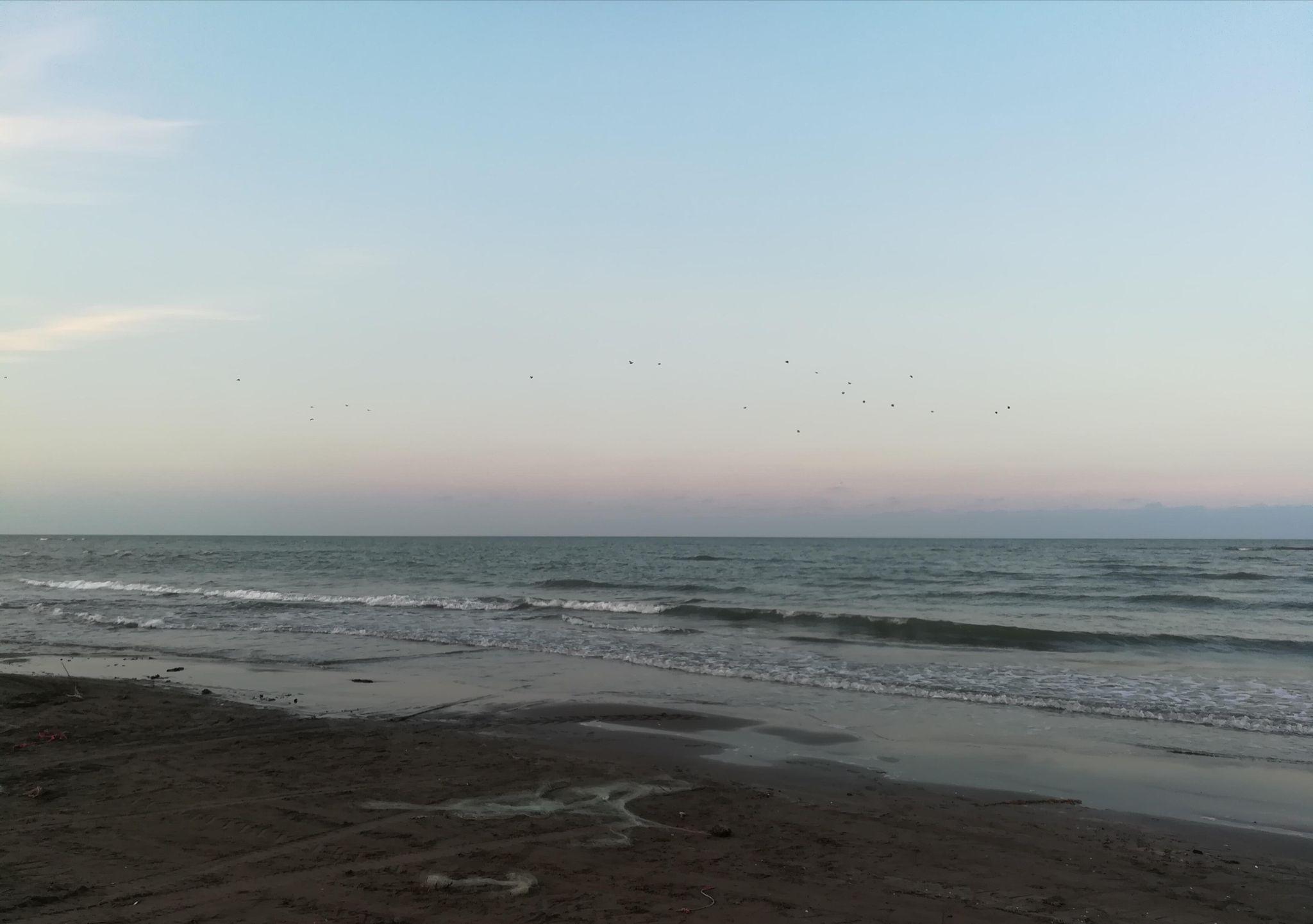 ساحل کیاشهر