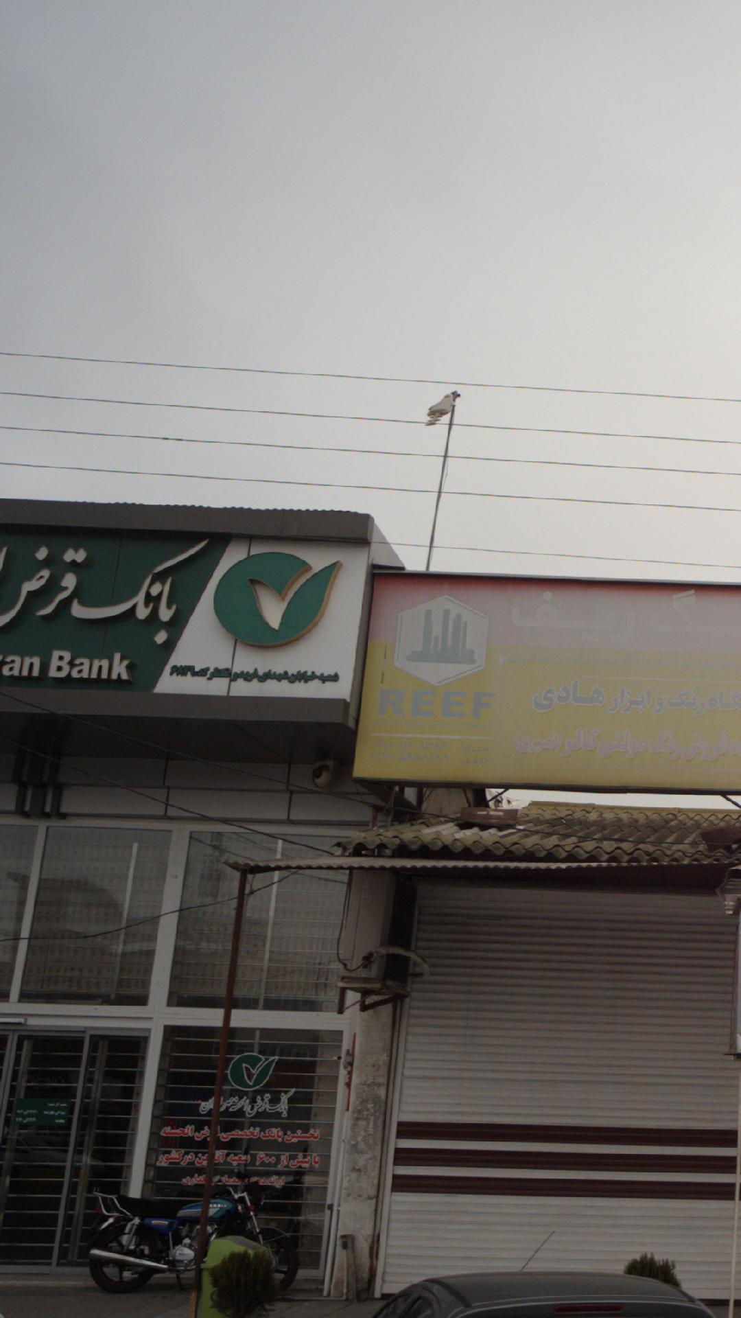 بانک کارآفرین شعبه شهرستان گنبد کاووس