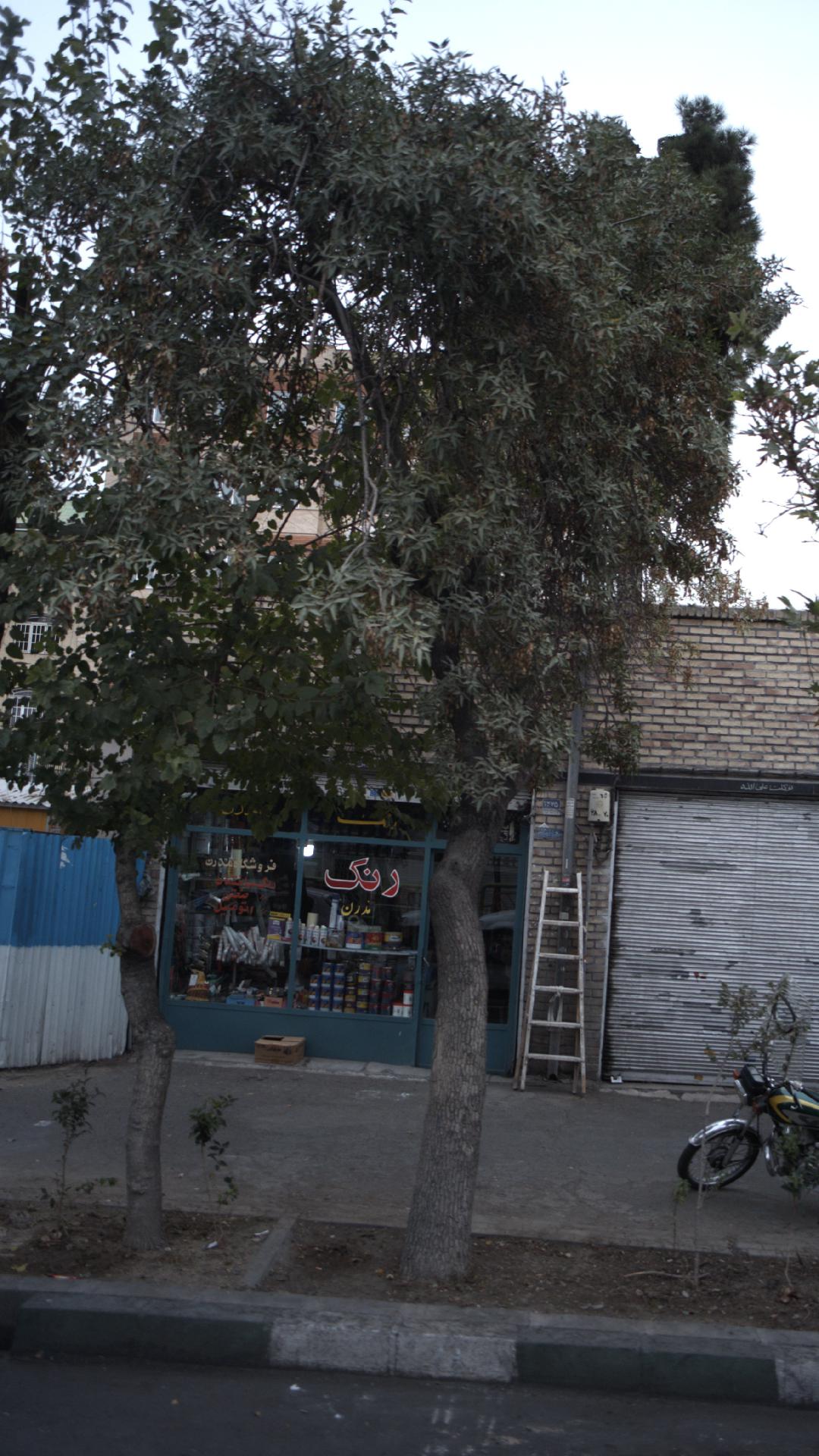 رنگ مدرن