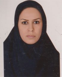 وکیل سمیه اکبری دیزگاه