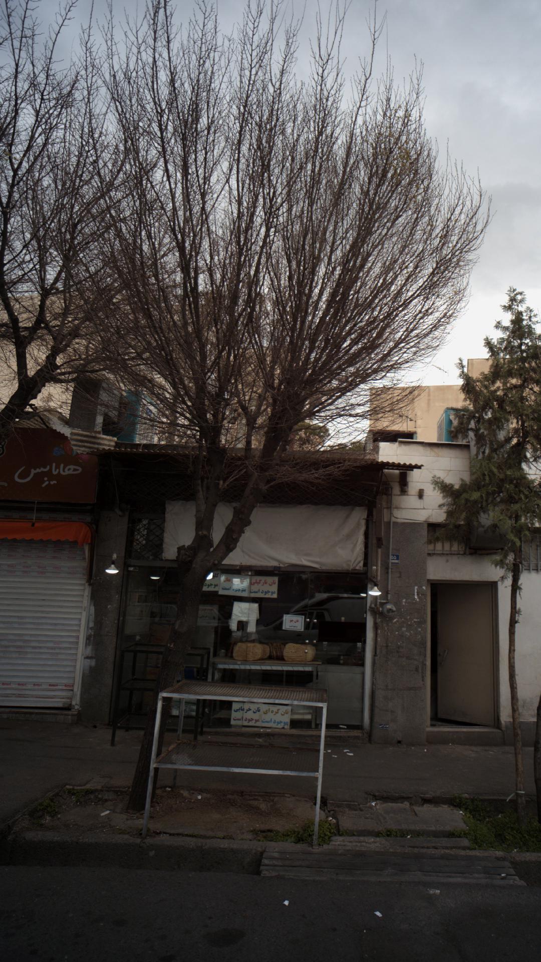 نان بربری
