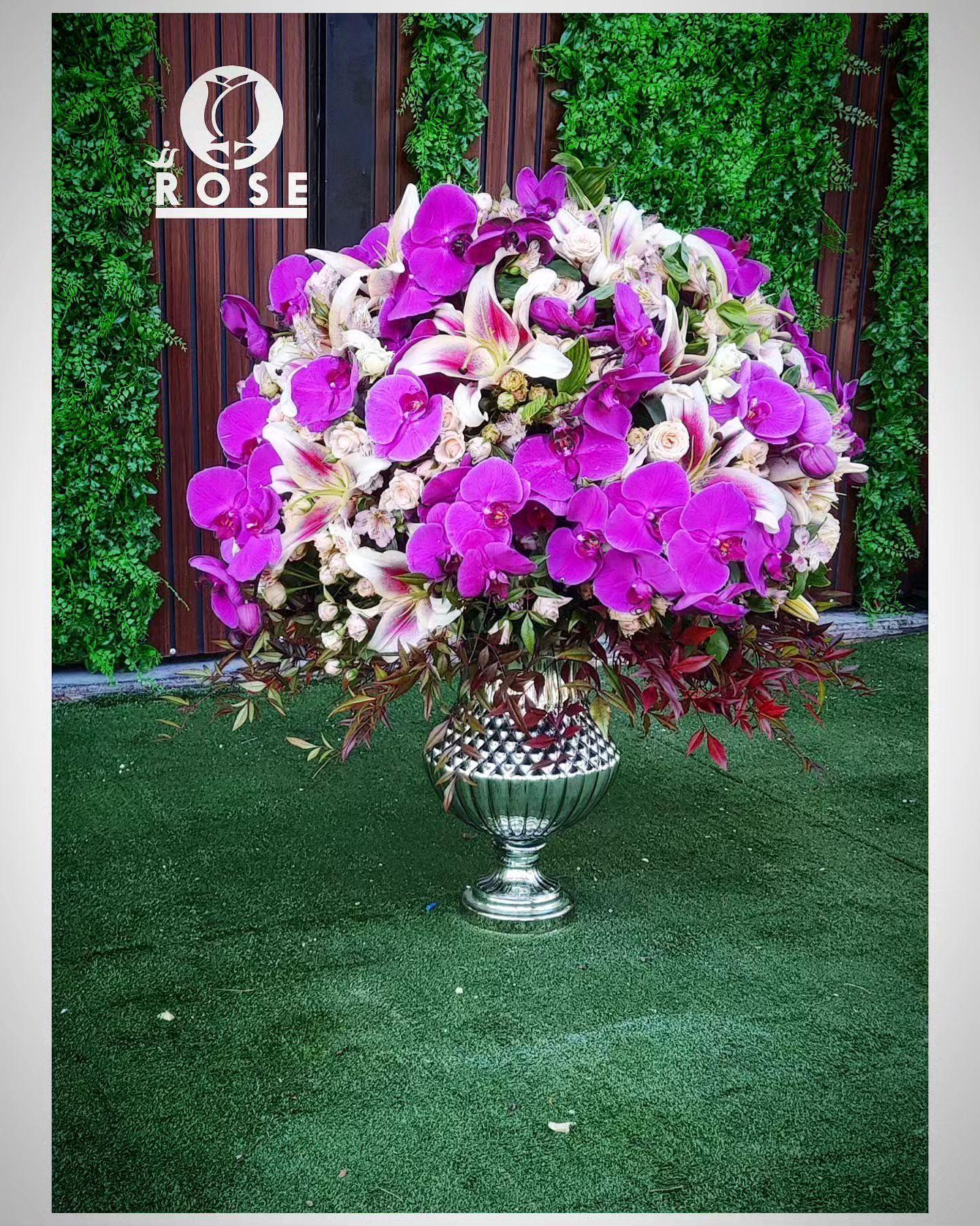 گل رز مهرشهر