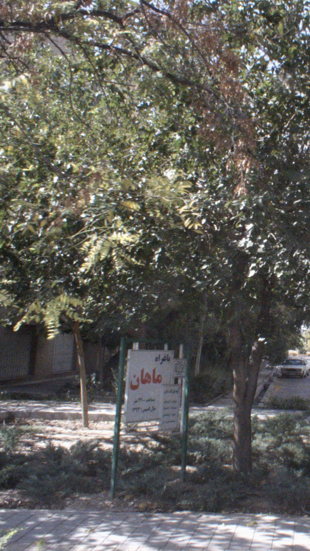 باغراه ماهان