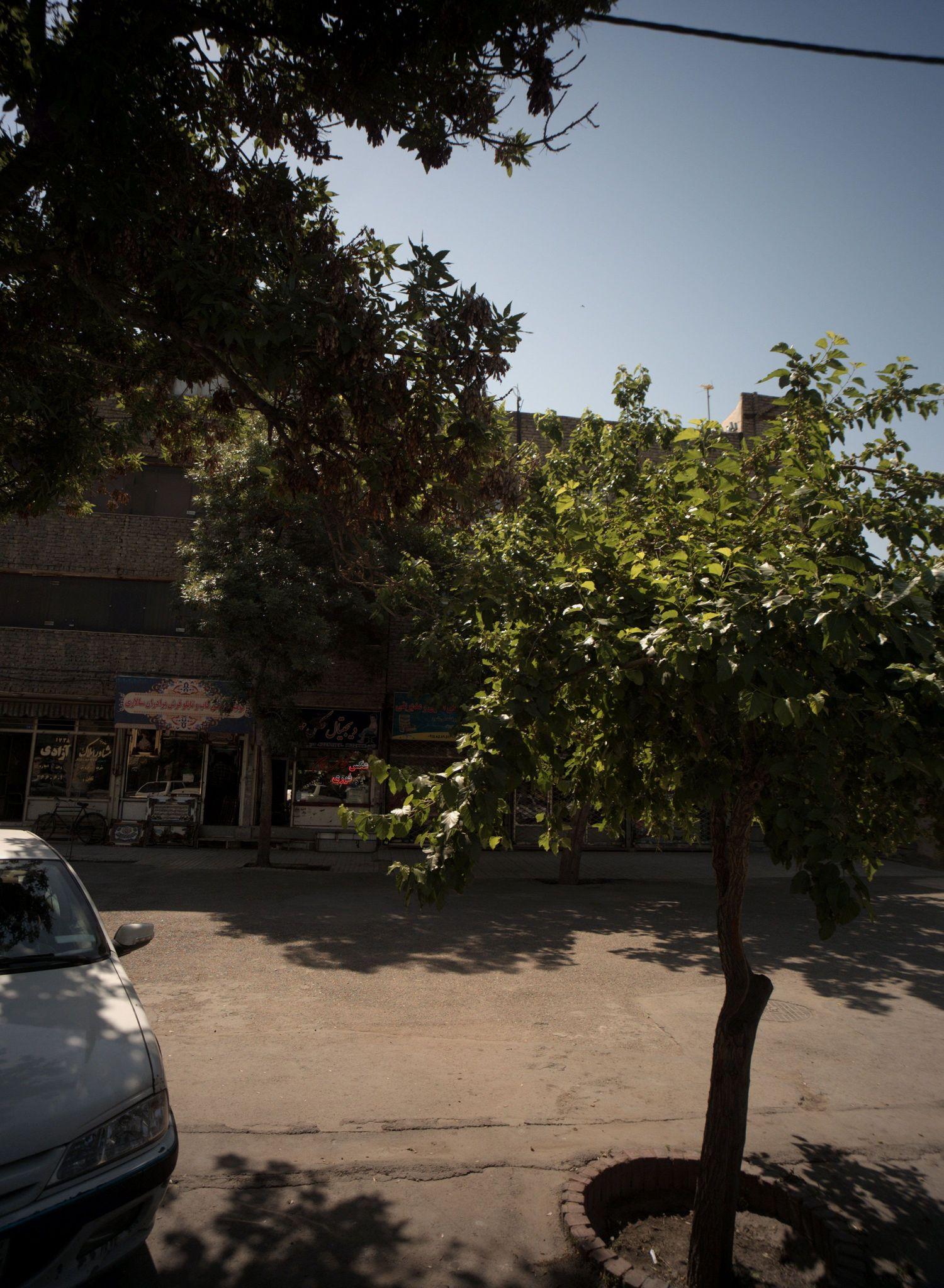 دیجیتال عکس مهران