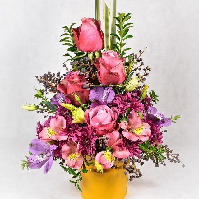 نمایشگاه گل و گیاه رهاگل