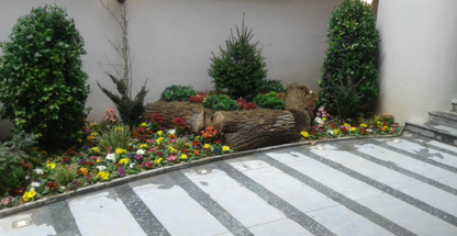 مرکز خرید گل و گیاه اریافر