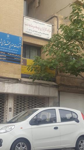 کارگزاری توسعه سرمایه دنیا
