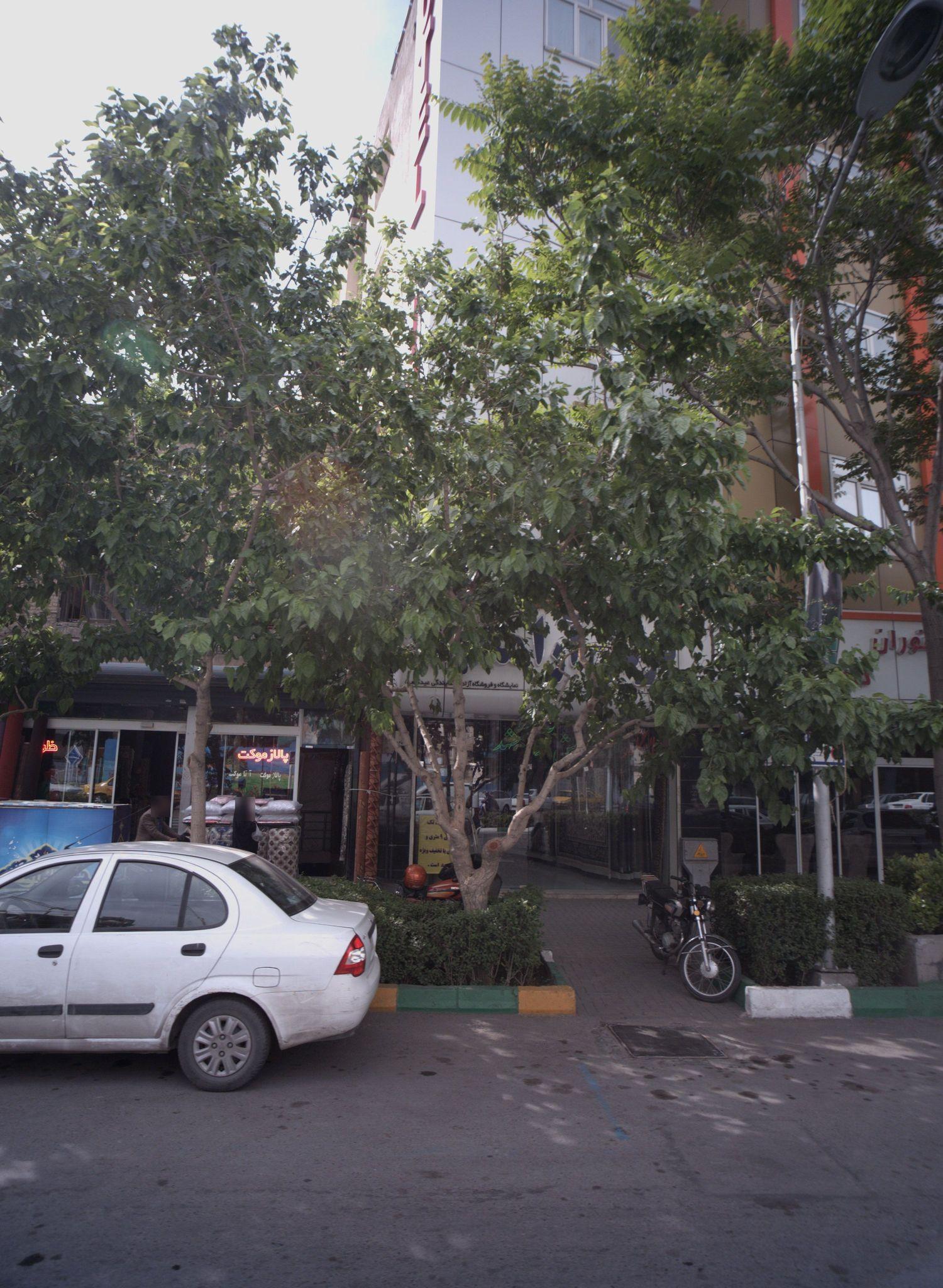 فرش آرا مشهد