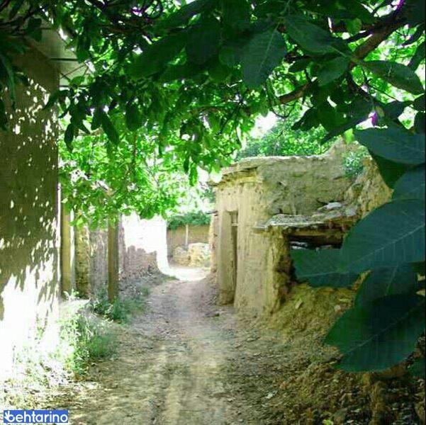 روستای انزها