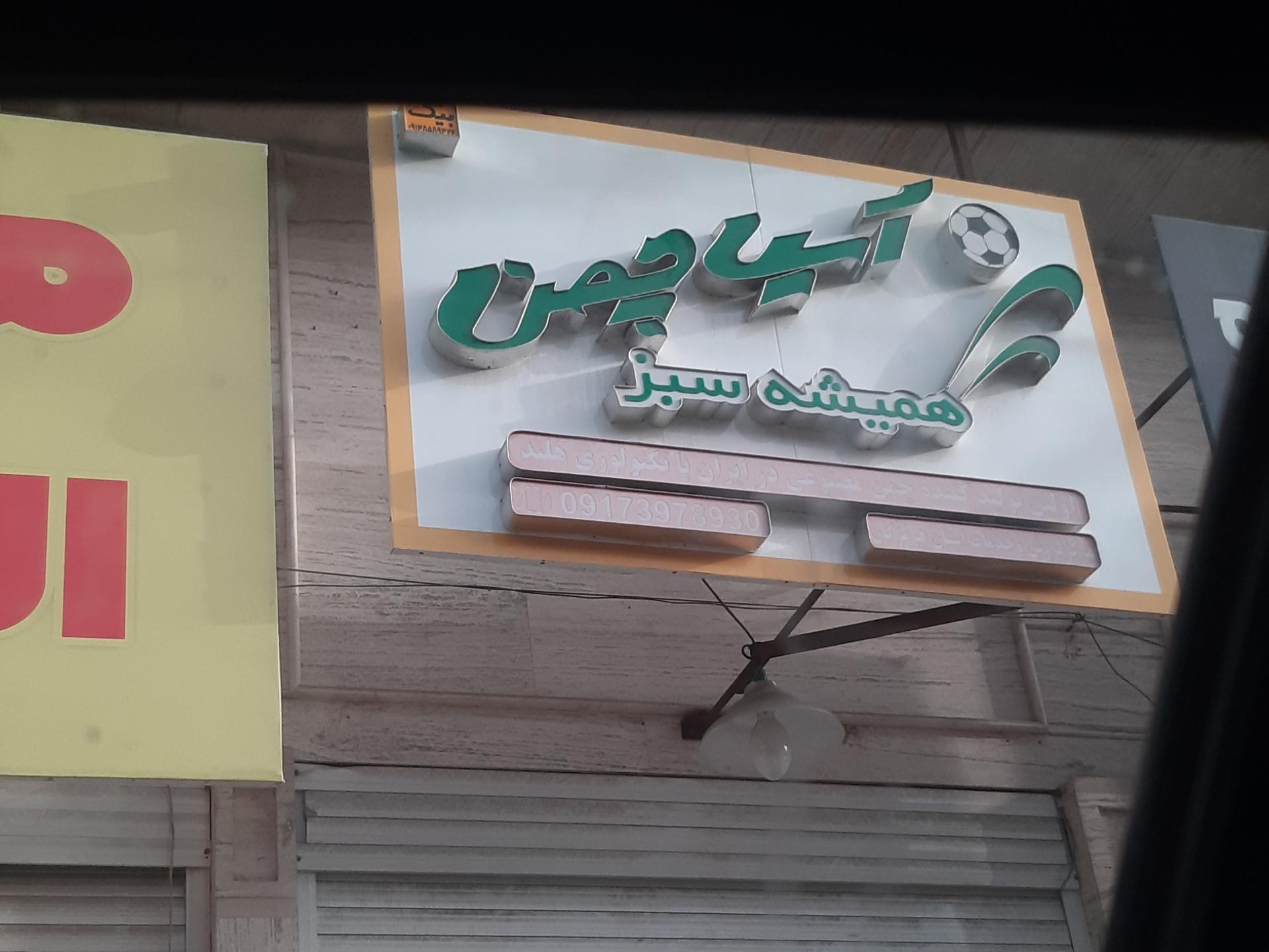 گل یاس