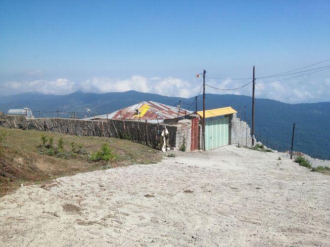 اقامتگاه بومگردی قلی‌تبار