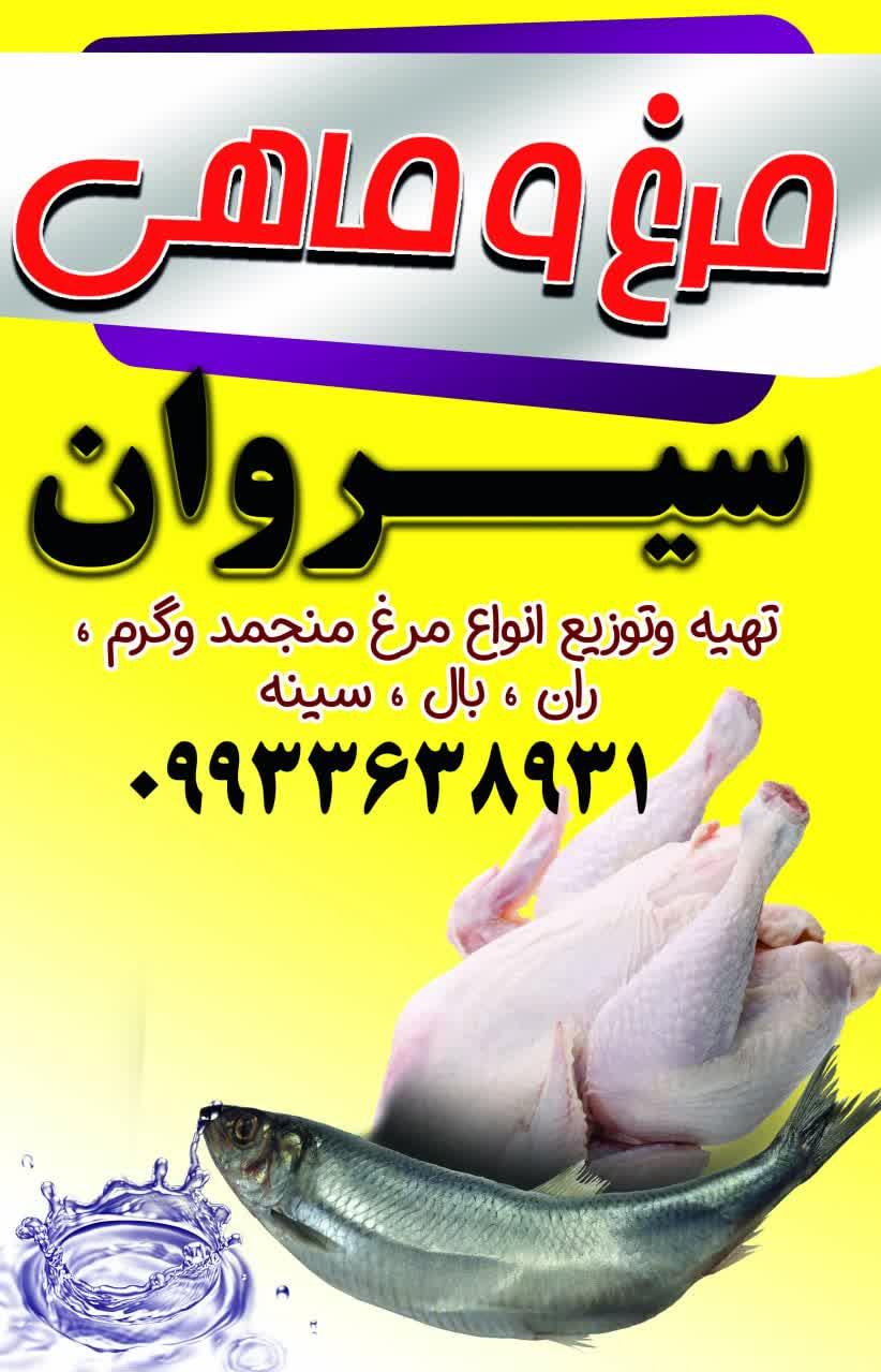 پروتئینی منصوری