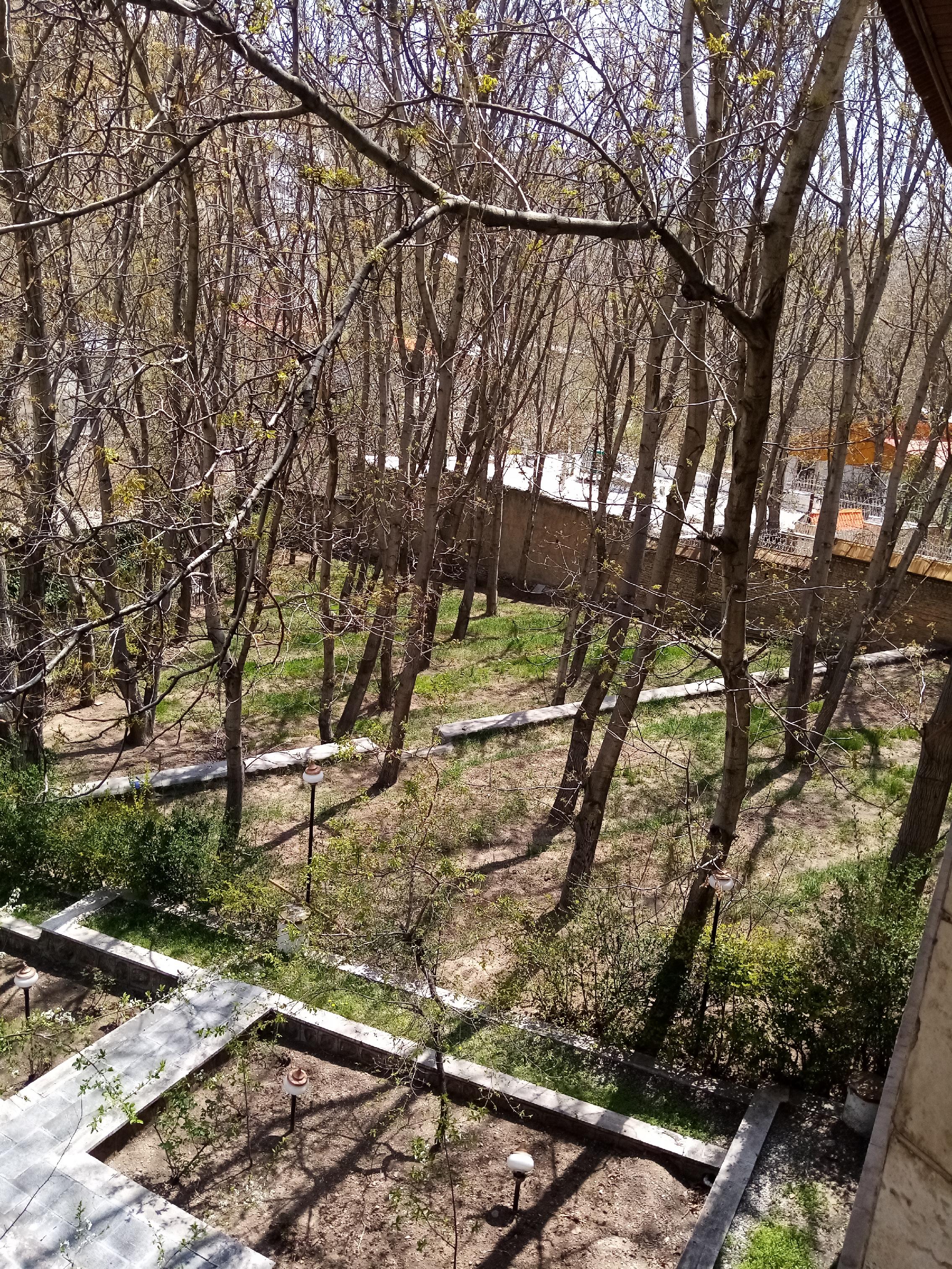 باغ ساحلی آبعلی