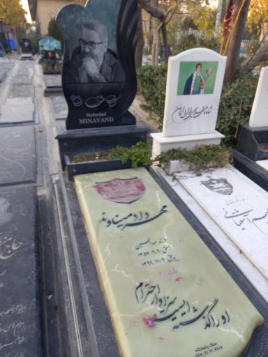 مهرداد میناوند