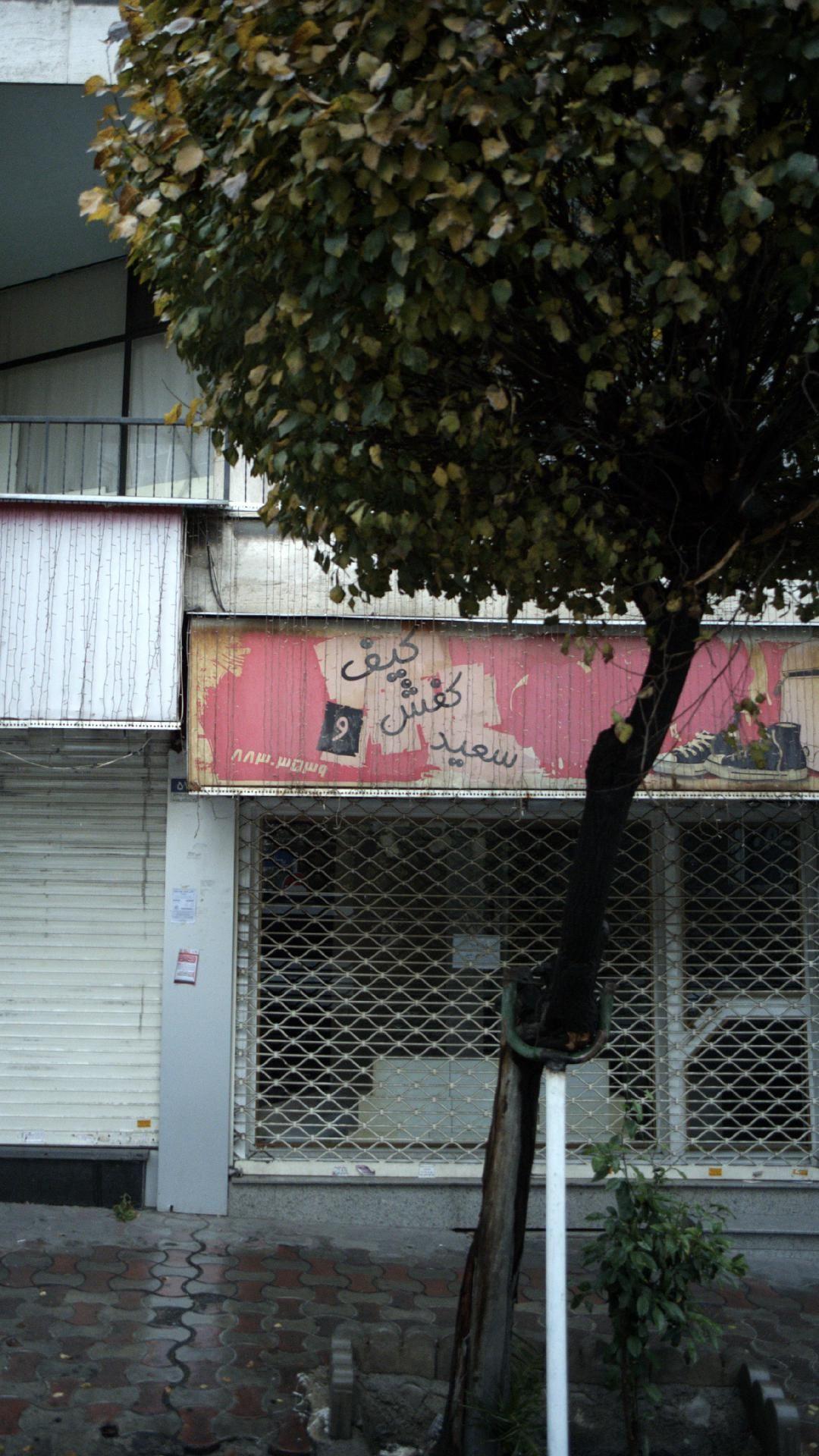 کیف و کفش سعید