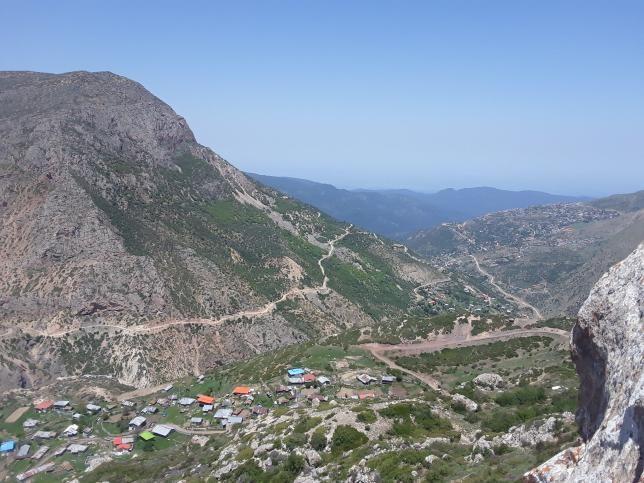 حاجی شیخ موسی