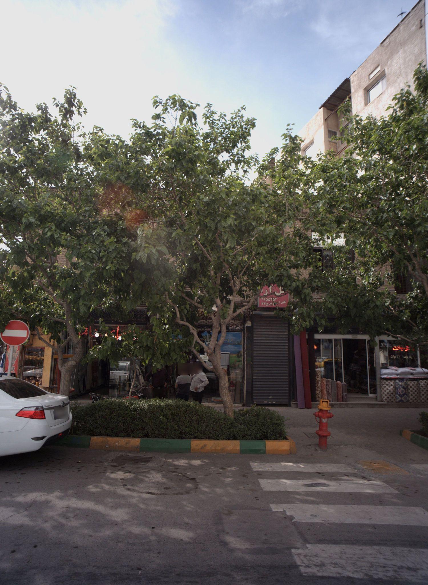 نمایشگاه فرش و موکت گل آرا