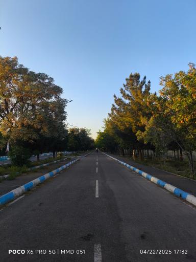 پارک خطی