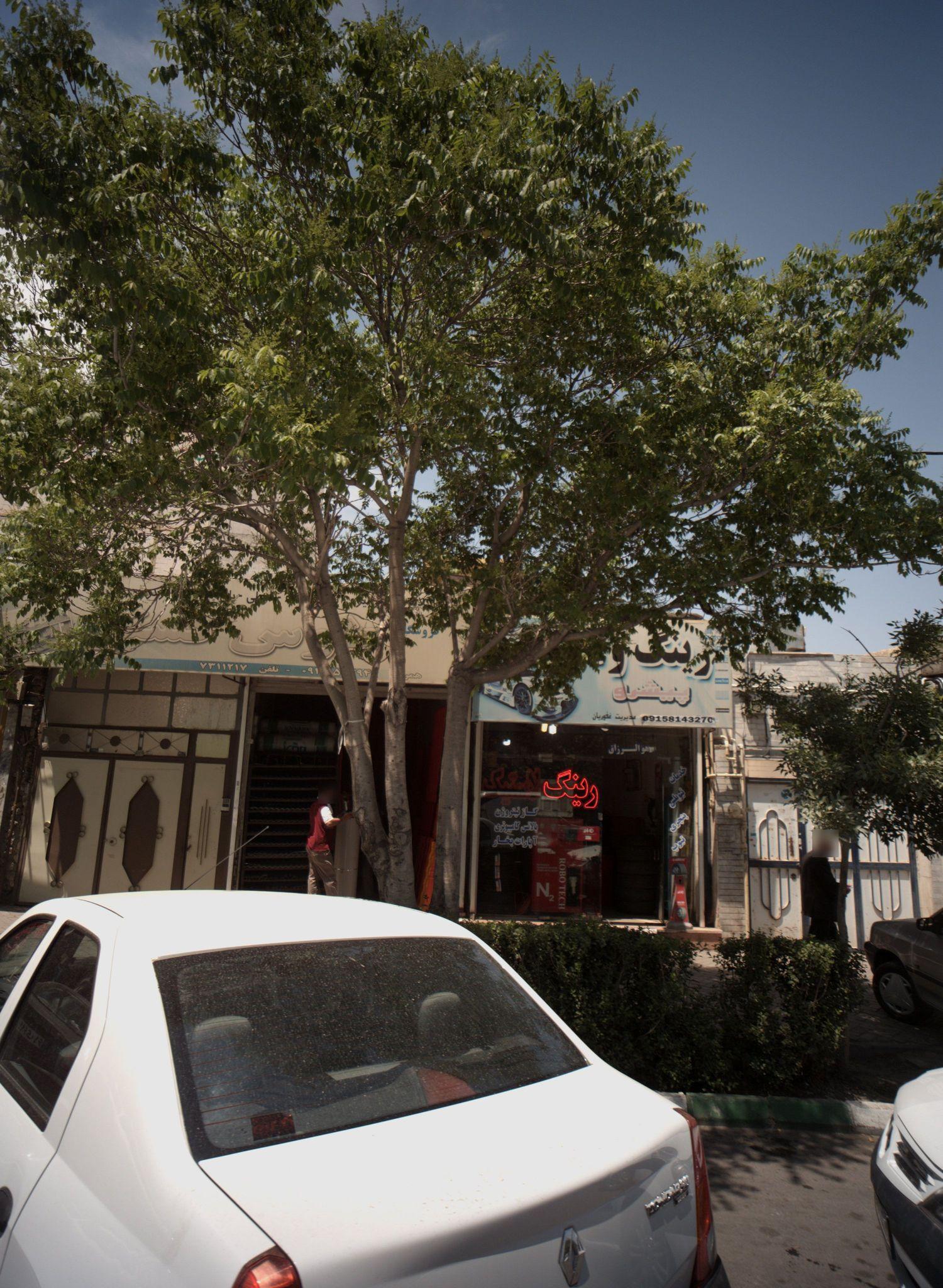 رینگ و لاستیک پیشرو