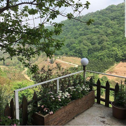 اقامتگاه نظری