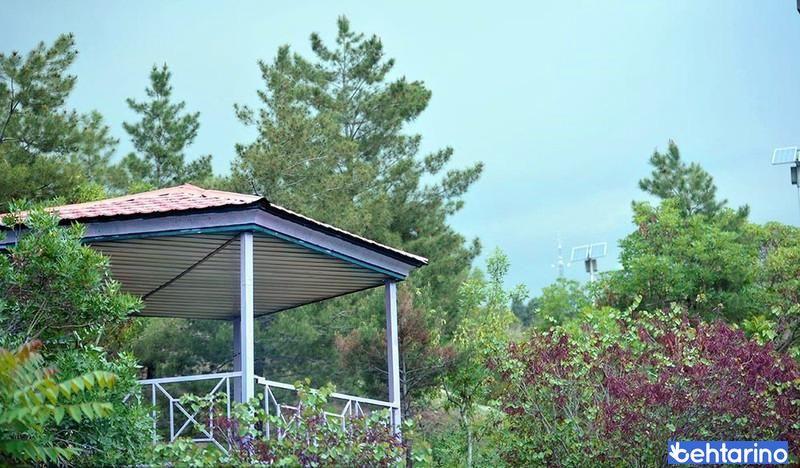 پارک جنگلی شیان