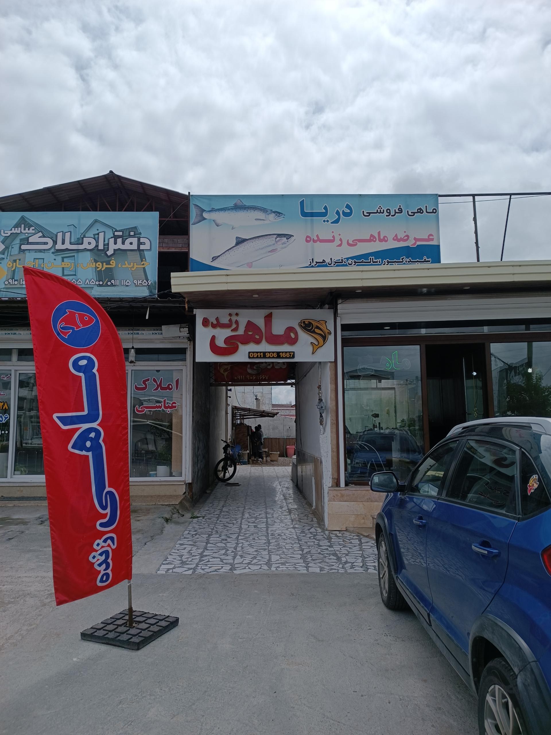 مرغ فروشی برادران سیدی