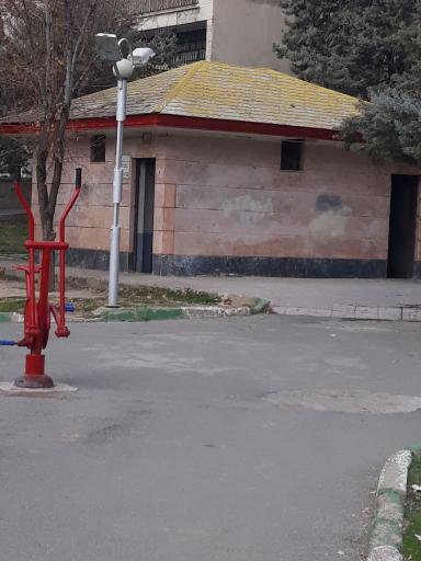 سرویس بهداشتی