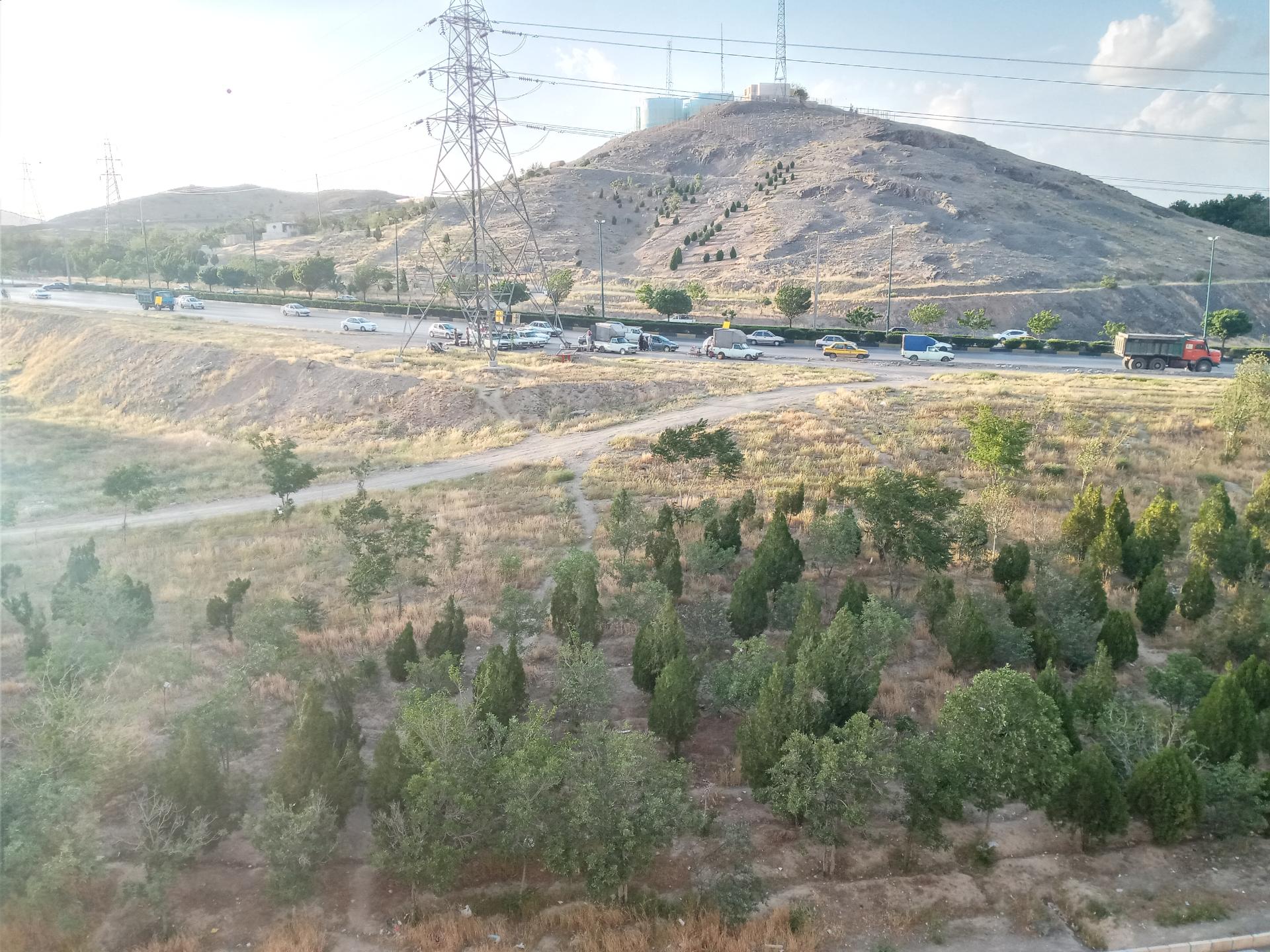 فضای سبز