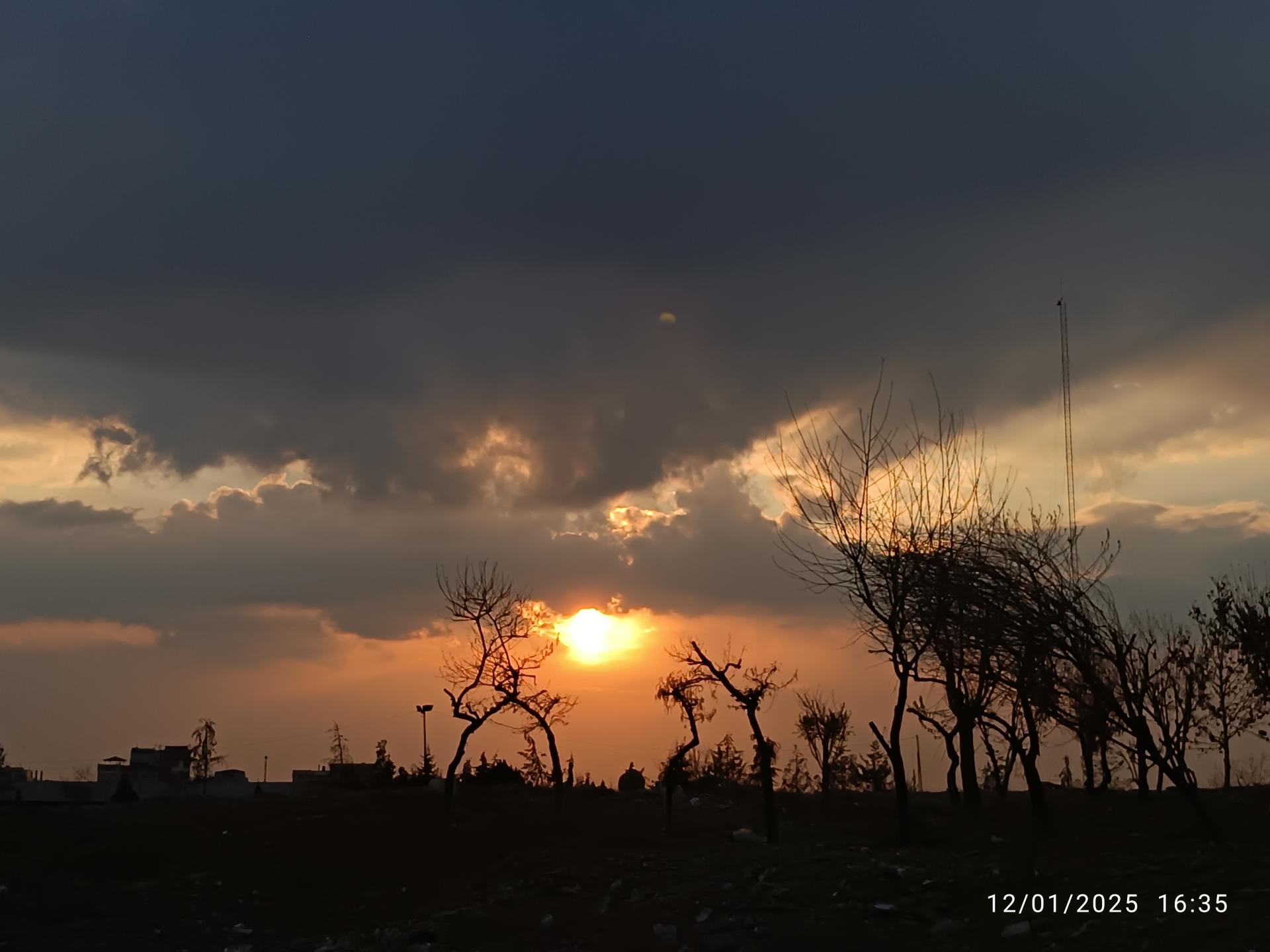 بوستان نیکو