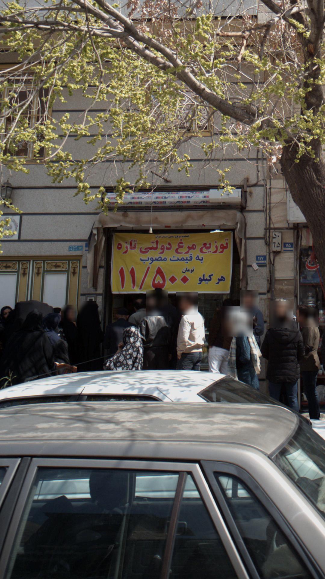 تپزیع مرغ دولتی 
