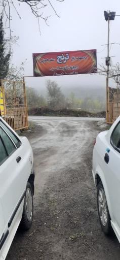 باغ ترنج