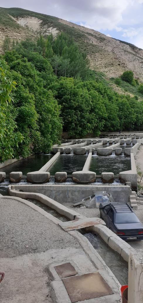 پرورش ماهی