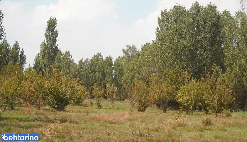 روستای بندیزه لرستان