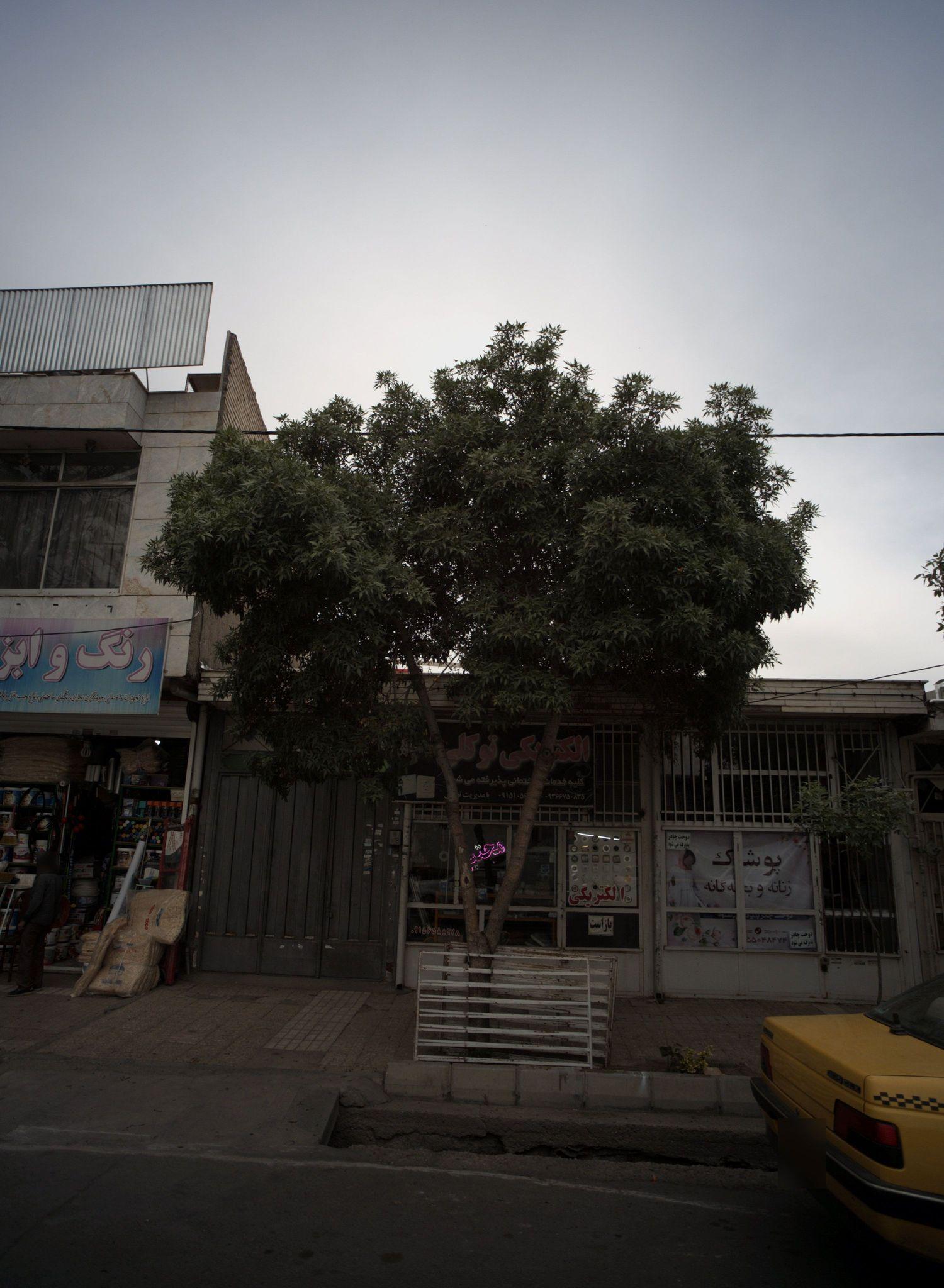 پوشاک زنان و بچه گانه