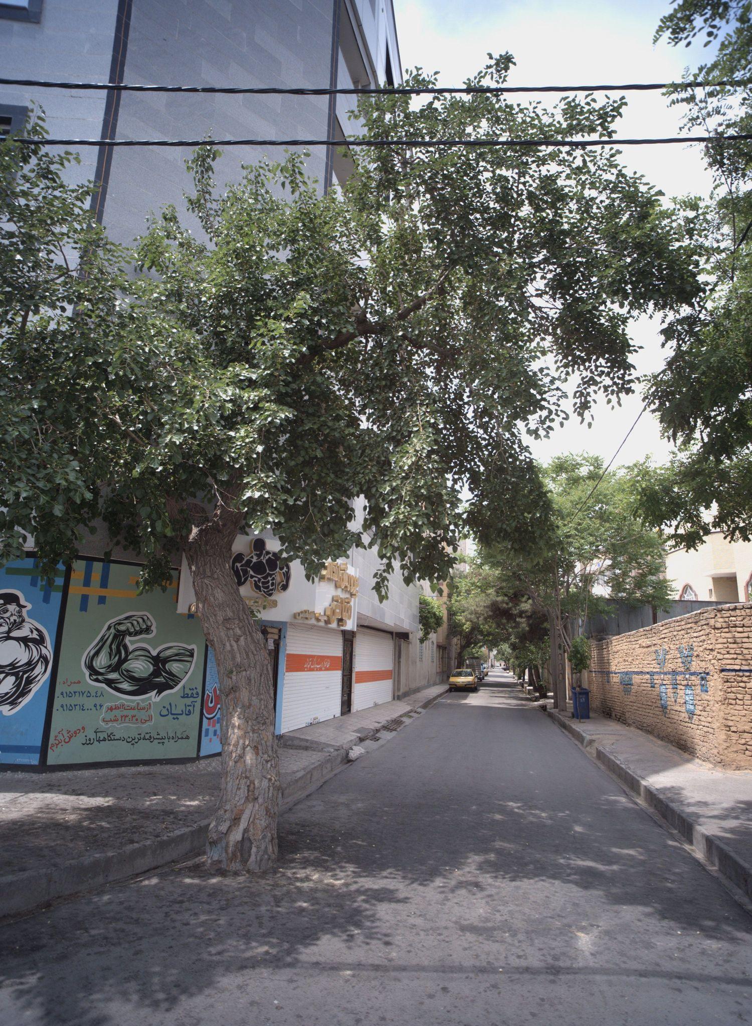 پرورش اندام  تک اندام