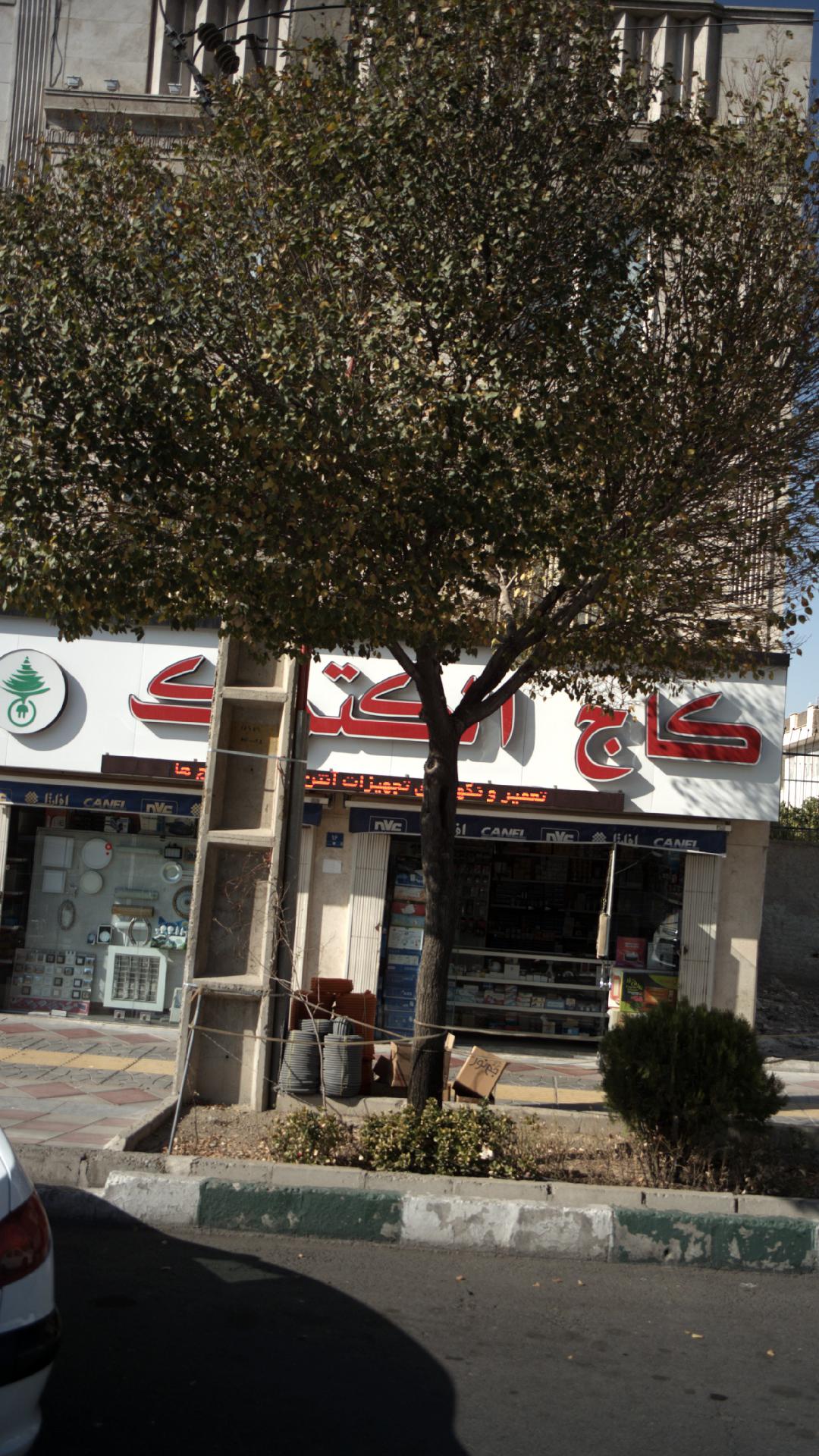 کاج الکتریک