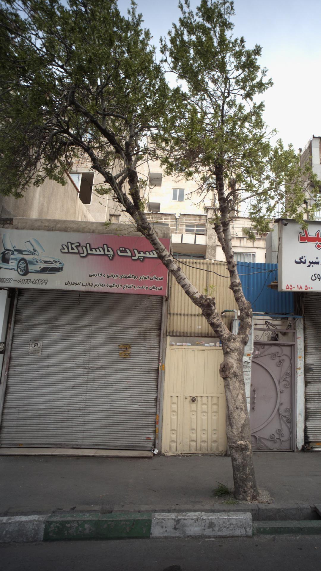 اسپرت پاسارگاد