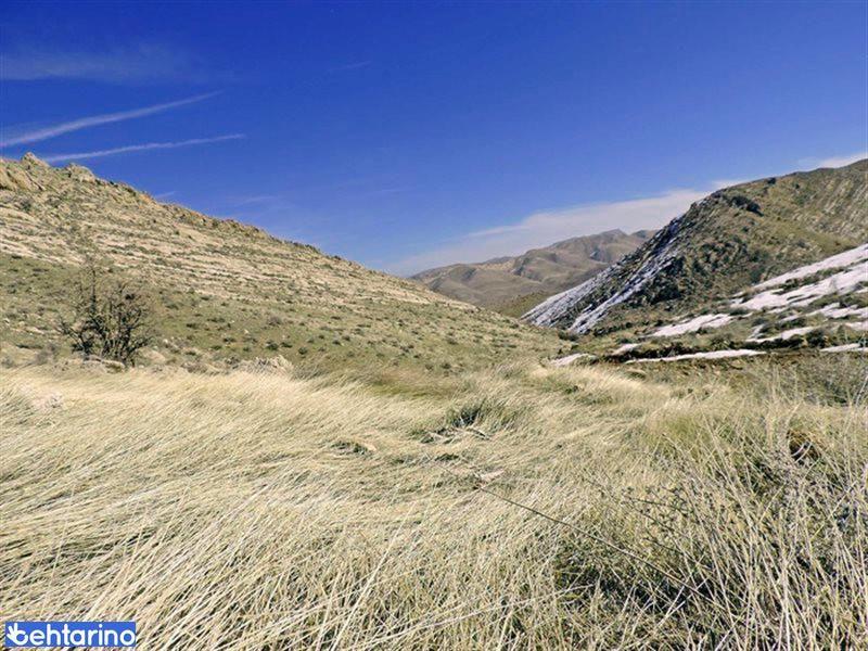 گردشگاه چشمه فیلی