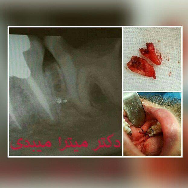 دندان پزشکی دکتر سید مهدی انارکی