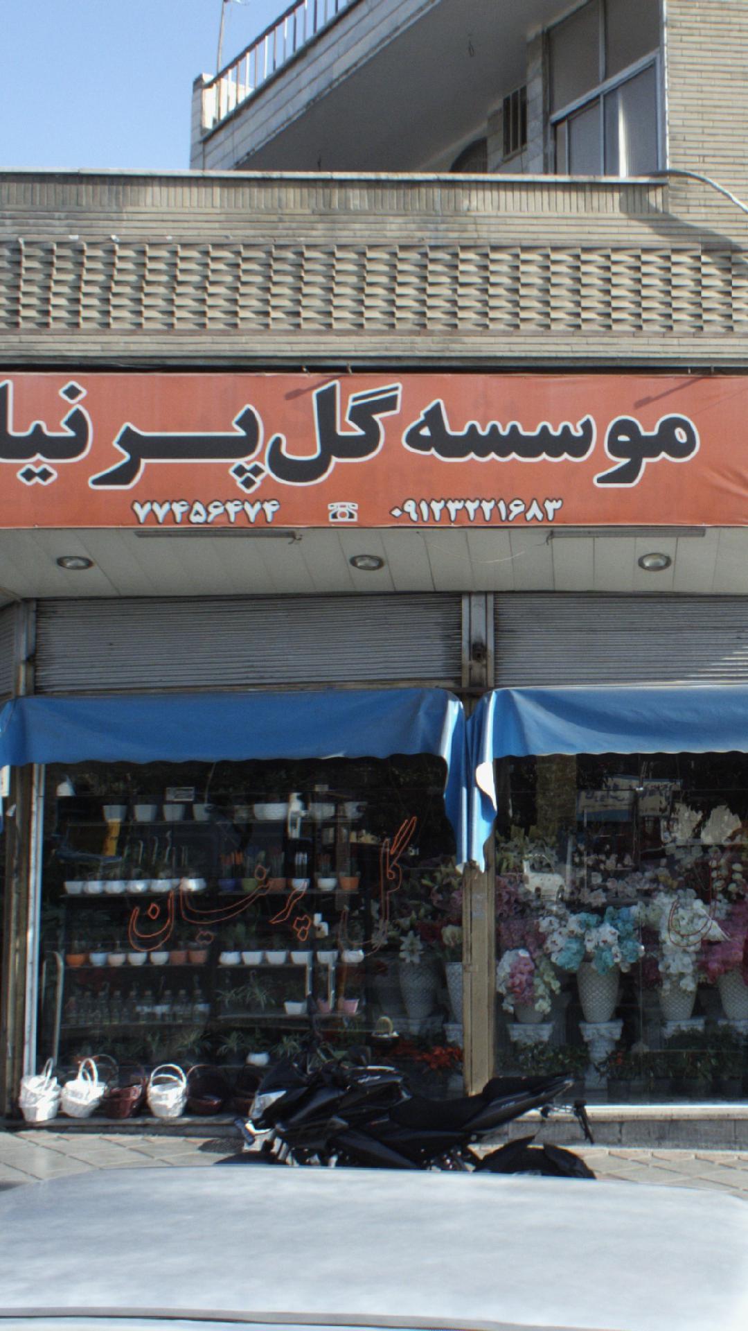 موسسه گل پرنیا