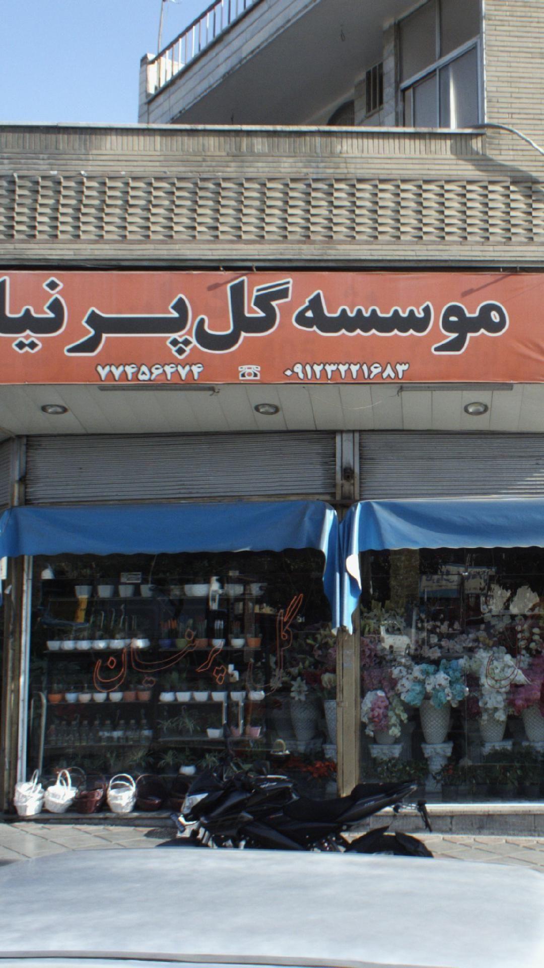 موسسه گل پرنیا