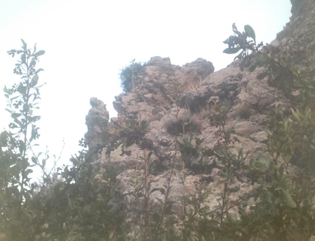 رود شیر