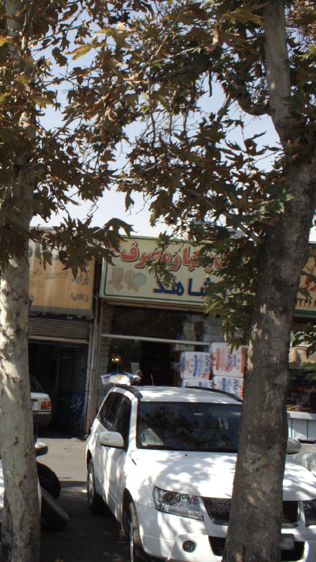 ظروف یک بار مصرف شاهد