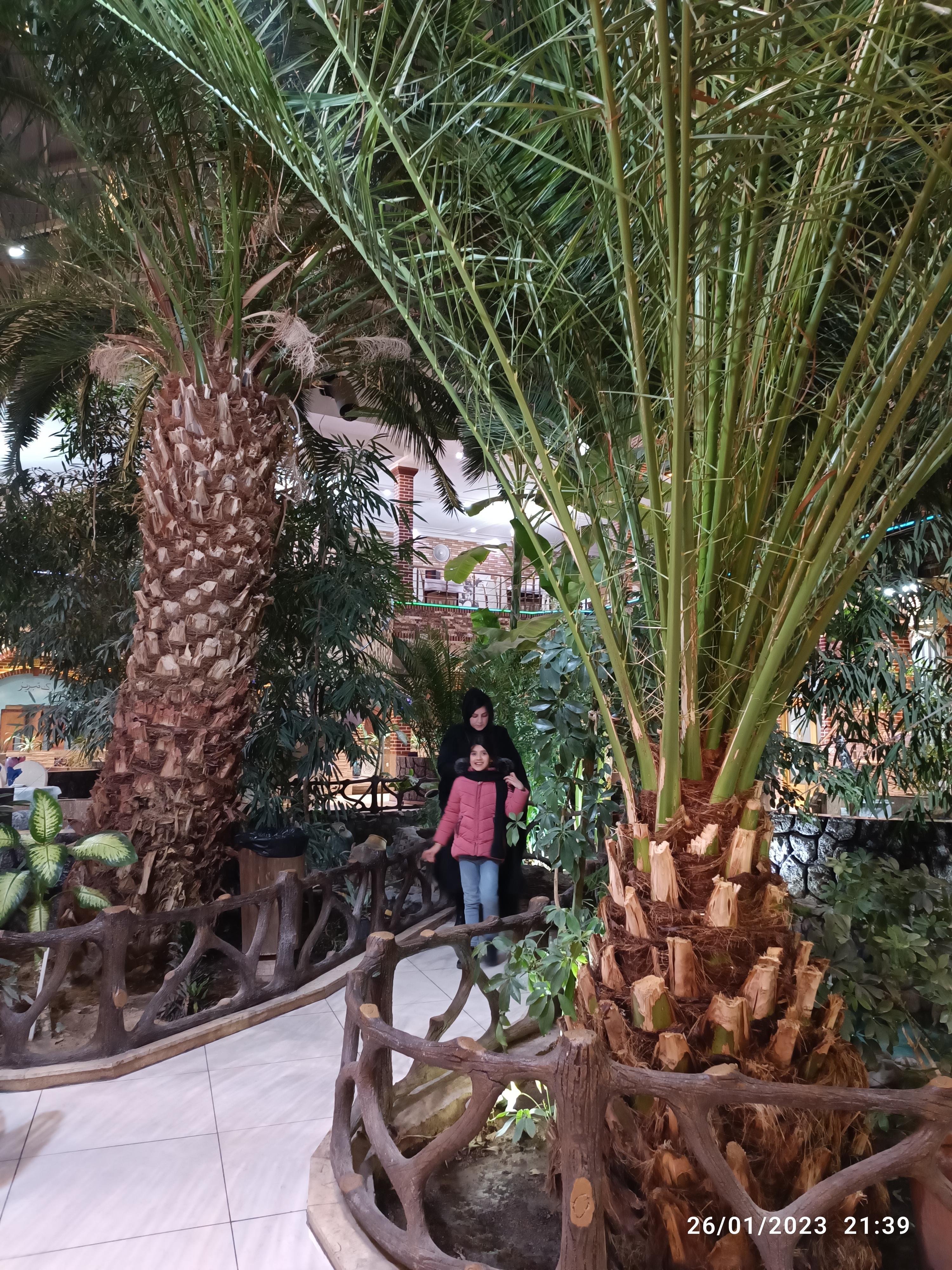 رستوران ساحل