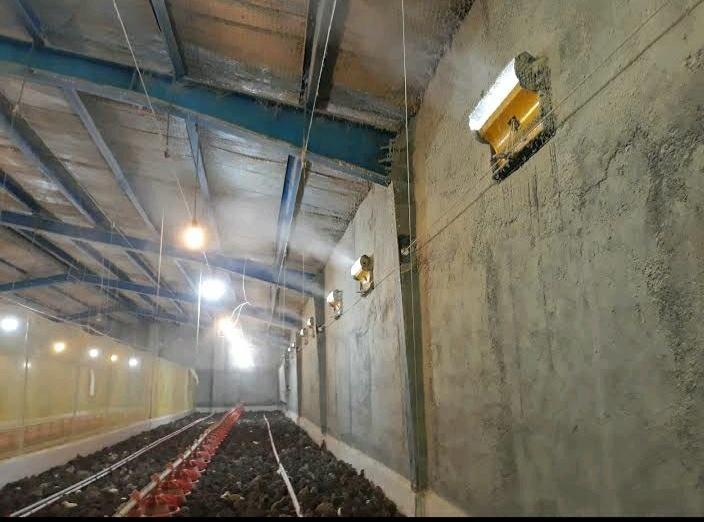 مزرعه پرورش بلدرچین وشمیران