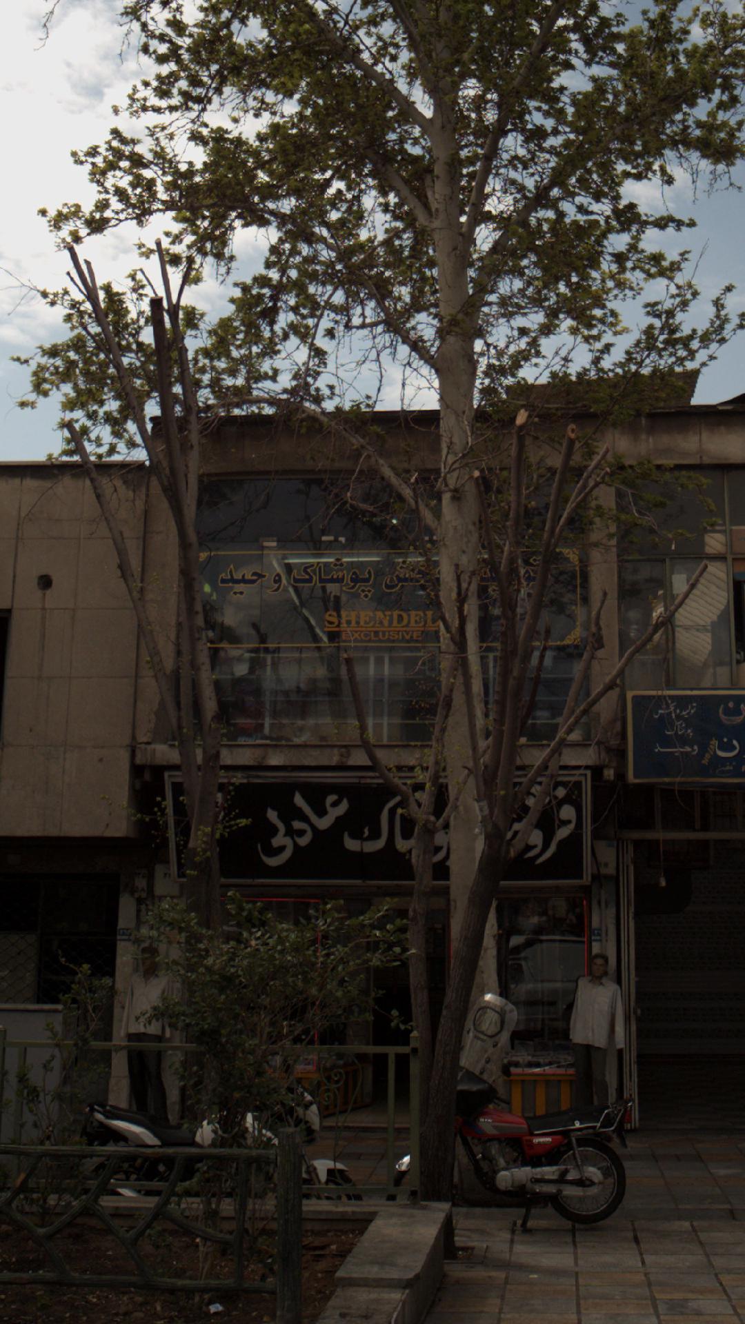 تولیدی و پخش جوادی