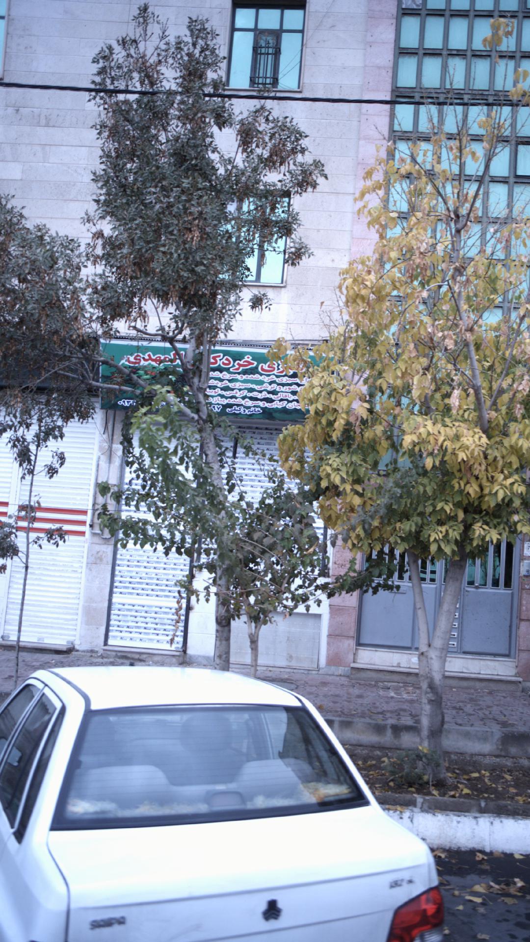 سبزی خرد کن المهدی