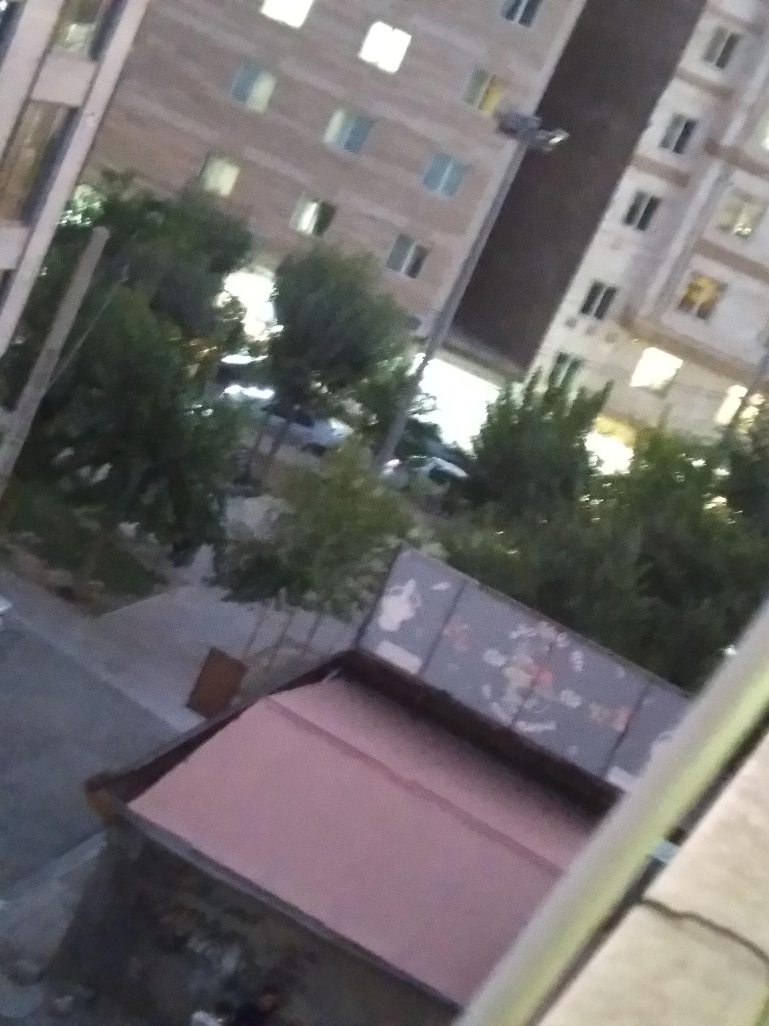 بوستان کرمانی